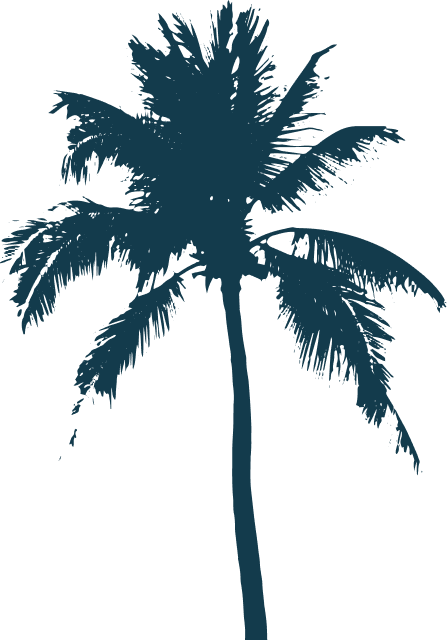 palmtree